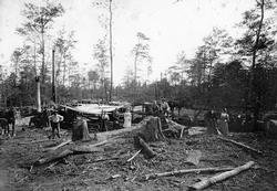 Kolapore Area Sawmill