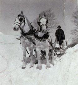 Levi Dobson and his Team of Horses