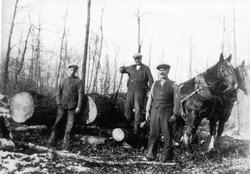 David and James Galbraith Buy a Bush Lot From J.J. Buchanan