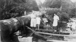 Flume at the Kolapore Dam