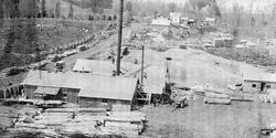 Johnston & White Sawmill, Kolapore 