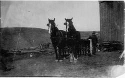 Richard Hallam and Horse Team