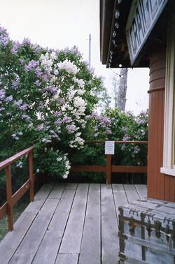 The Depot - Porch with Lilacs