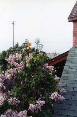 The Depot - Turret View with Lilacs